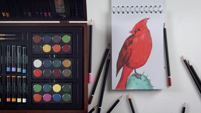 How-to-Draw a Cardinal using Colored Pencils