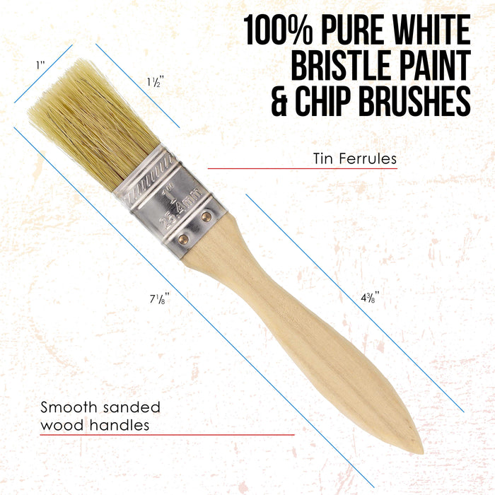 20 Pack of Assorted Size Paint and Chip Paint Brushes for Paint, Stains, Varnishes, Glues, and Gesso