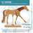 U.S. Art Supply 12" Wooden Horse Manikin Posable Figure for Drawing - Articulated Mannequin with Base and Flexible Body for Drawing The Equine Figure