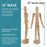 U.S. Art Supply 12" Wooden Male Manikin Posable Figure for Drawing (6 Pack) - Articulated Mannequin with Base and Flexible Body for Drawing The Human Figure