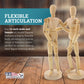 12" Wooden Male & Female Manikin Posable Figures for Drawing - Articulated Mannequin with Base and Flexible Body for Drawing The Human Figure