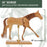 Wooden 16" Horse Artist Drawing Manikin Articulated Mannequin