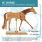 Wooden 16" Horse Artist Drawing Manikin Articulated Mannequin