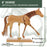 Wooden Horse Artist Drawing Manikin Articulated Mannequin (8" Horse)