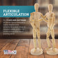 8" Wooden Male & Female Manikin Posable Figures for Drawing - Articulated Mannequin with Base and Flexible Body for Drawing The Human Figure