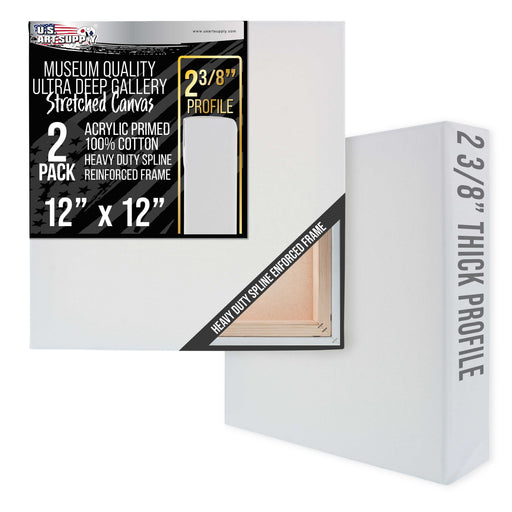 Stretched Canvas for Painting 12" x 12" Museum 2-3/8" Extra Deep Profile, 17oz Acrylic Gesso Triple Primed, Gallery-Style (2 Pack), 100% Cotton, Art Canvases for Painting, Epoxy Resin