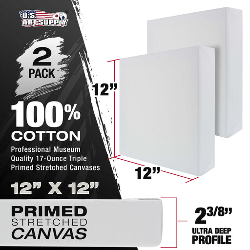 Stretched Canvas for Painting 12" x 12" Museum 2-3/8" Extra Deep Profile, 17oz Acrylic Gesso Triple Primed, Gallery-Style (2 Pack), 100% Cotton, Art Canvases for Painting, Epoxy Resin
