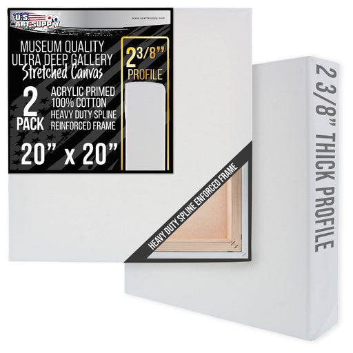 Stretched Canvas for Painting 20" x 20" Museum 2-3/8" Extra Deep Profile, 17oz Acrylic Gesso Triple Primed, Gallery-Style (2 Pack), 100% Cotton, Art Canvases for Painting, Epoxy Resin