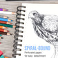 9 x 12" Mixed Media Sketchbook, 2 Pack (60 Sheets), 98 lb (160 gsm) - Spiral-Bound Pad with Perforated Acid-Free Paper - Artist Sketch Book For Drawing, Painting, Watercolor