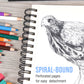11 x 14" Mixed Media Sketchbook, 2 Pack (60 Sheets), 98 lb (160 gsm) - Spiral-Bound Pad with Perforated Acid-Free Paper - Artist Sketch Book For Drawing, Painting, Watercolor