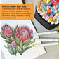 9 x 12" Premium Manga Marker Paper Pad (2 Pack, 48 Sheets Total) - 60lb (100gsm) Drawing Sketchbook for Alcohol & Acrylic Paint Markers