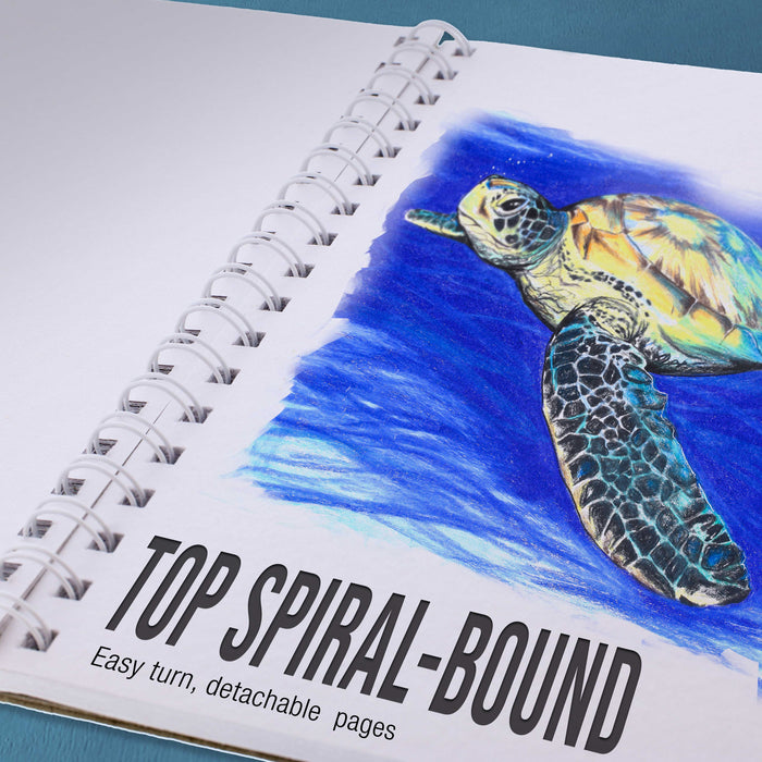 9"x12" Premium Heavy-Weight Paper Spiral Bound Sketch Book: 90 Pound (160gsm), 30-Sheet Drawing Pad (2 Pack)