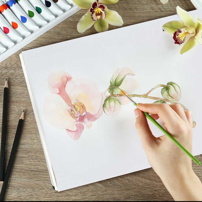 9" x 12" Premium Heavyweight Watercolor Paper Pad, Pack of 2 (24 Sheets Each), 140lb (300gsm) - Spiral Bound, Cold Pressed, Acid-Free, Wet, Water Color Paper - For Artists, Students