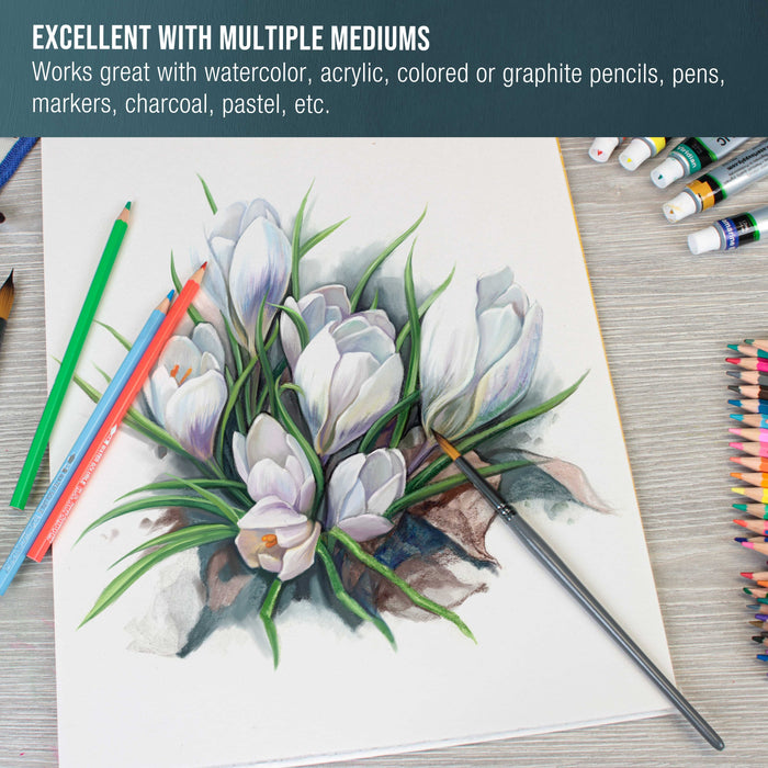 9" x 12" Premium Heavyweight Watercolor Paper Pad, Pack of 2 (12 Sheets Each), 140lb (300gsm) - Spiral Bound, Cold Pressed, Acid-Free, Wet, Water Color Paper - For Artists, Students