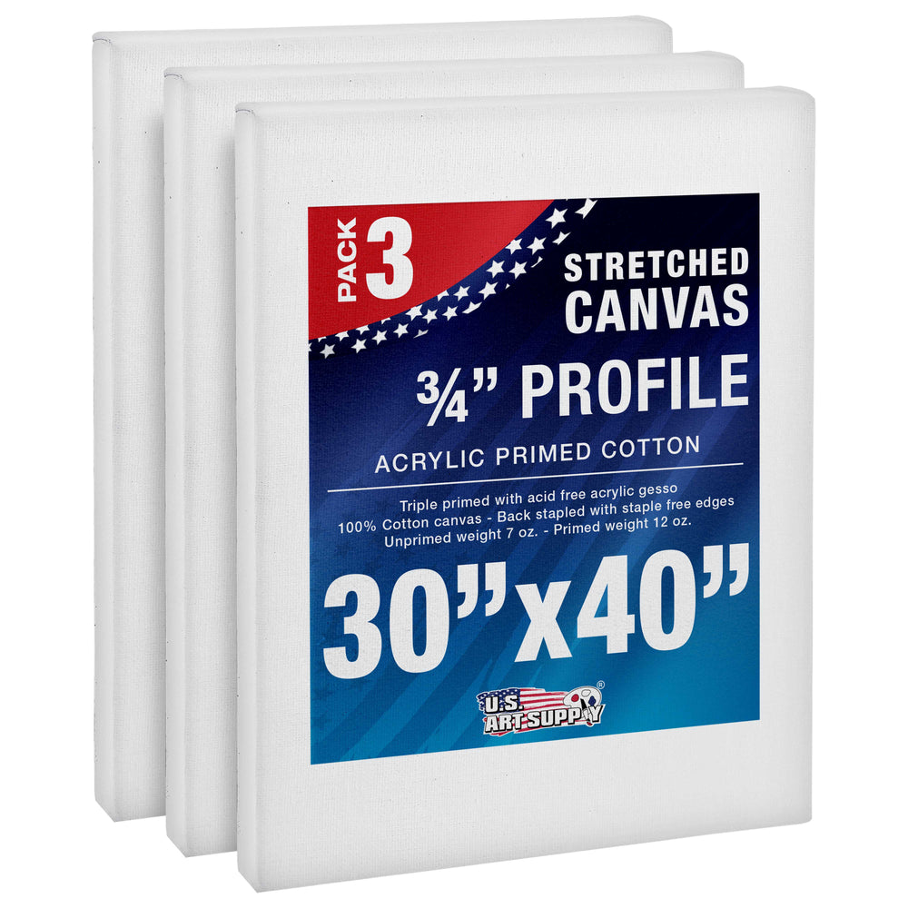 US Art Supply 3 x 4 Mini Professional Primed Stretched Canvas (1-Pack of 12-Mini US Art Supply 3 x 4 Mini Professional Primed Stretched Canvas (1-Pack of 12-Mini