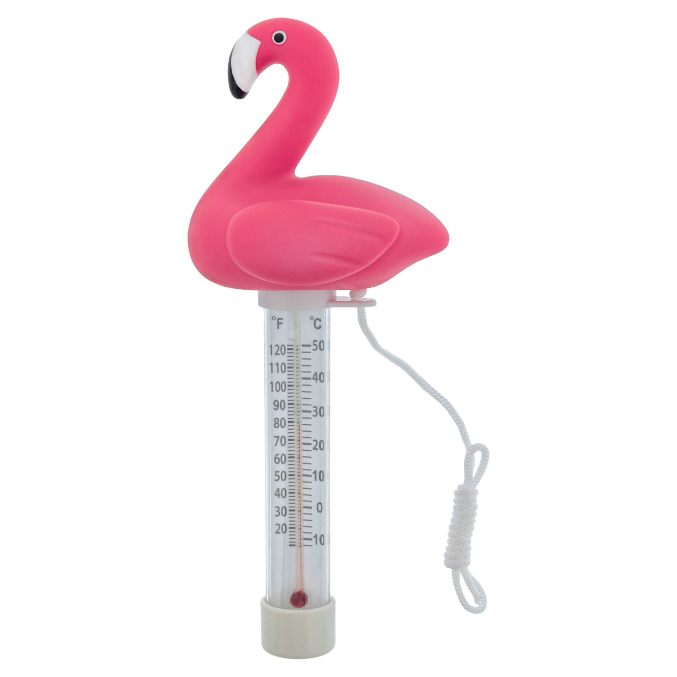 Pool Thermometers