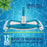12" Deluxe Weighted Butterfly Pool Vacuum Head with Side Brushes, Swivel Hose Connection - Above & In-Ground Pools – Vinyl Liner Safe