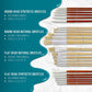 24 Piece Oil & Acrylic Paint Long Handle Artist Paint Brush Set with Canvas Carrying Case
