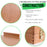 Newport Medium Adjustable Wood Table Sketchbox Easel, Premium Beechwood - Portable Wooden Artist Desktop Case - Store Organize Art Paint, Sketch Pad